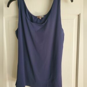 Fitted Sleeveless Blue Tank Top